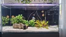 Akwarium 250l 100x50x50 full optiwhite 1cm szkło + szafka