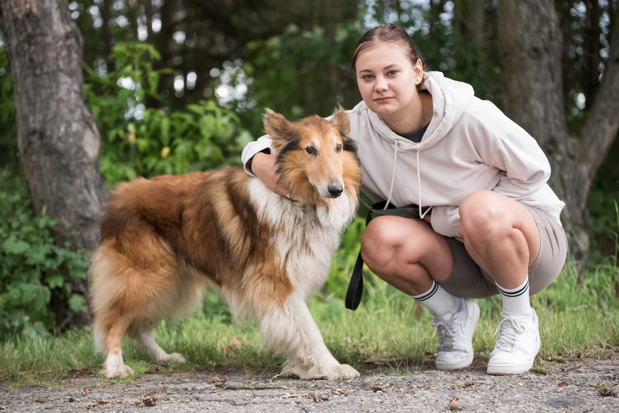 Galit – pies z historią, który wciąż czeka na dobro