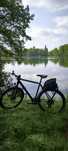 Cannondale Tresoro 2