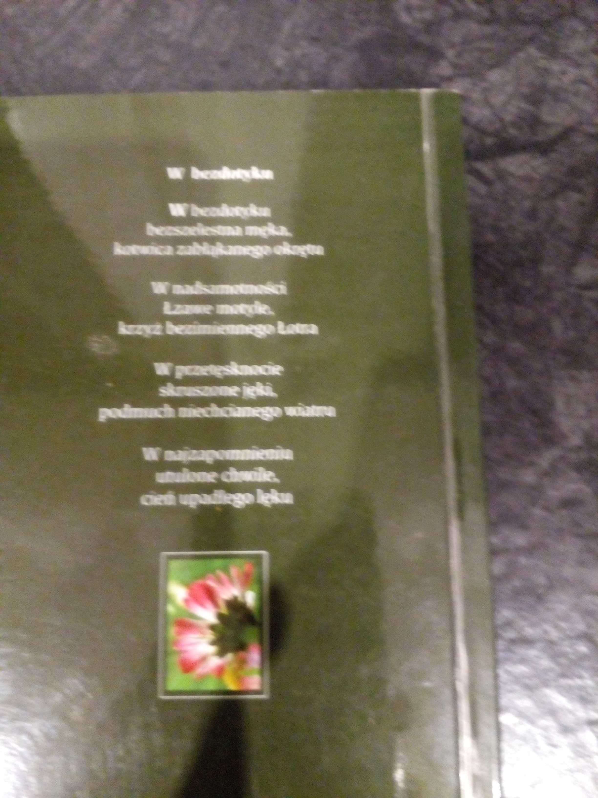 Ksiązka pt.  Cienie   / wiersze/ autor Cyprian Sajna - NOWA