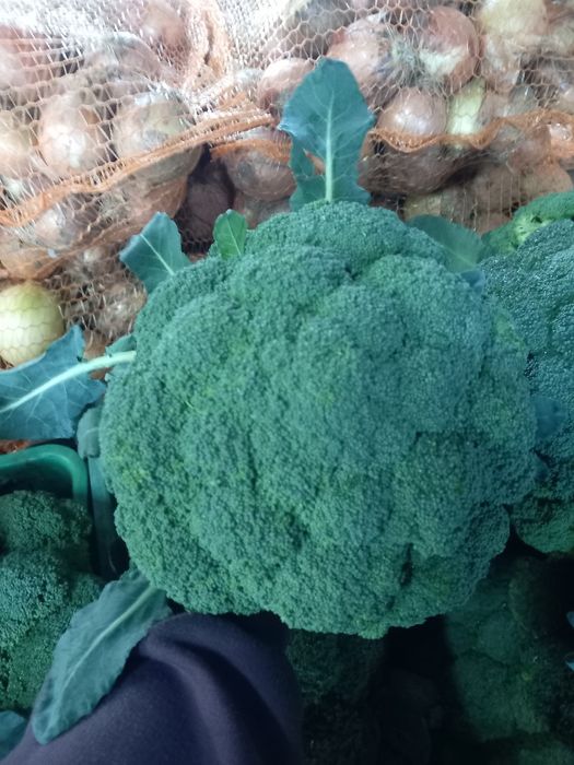 Cebula, brokuł, papryka