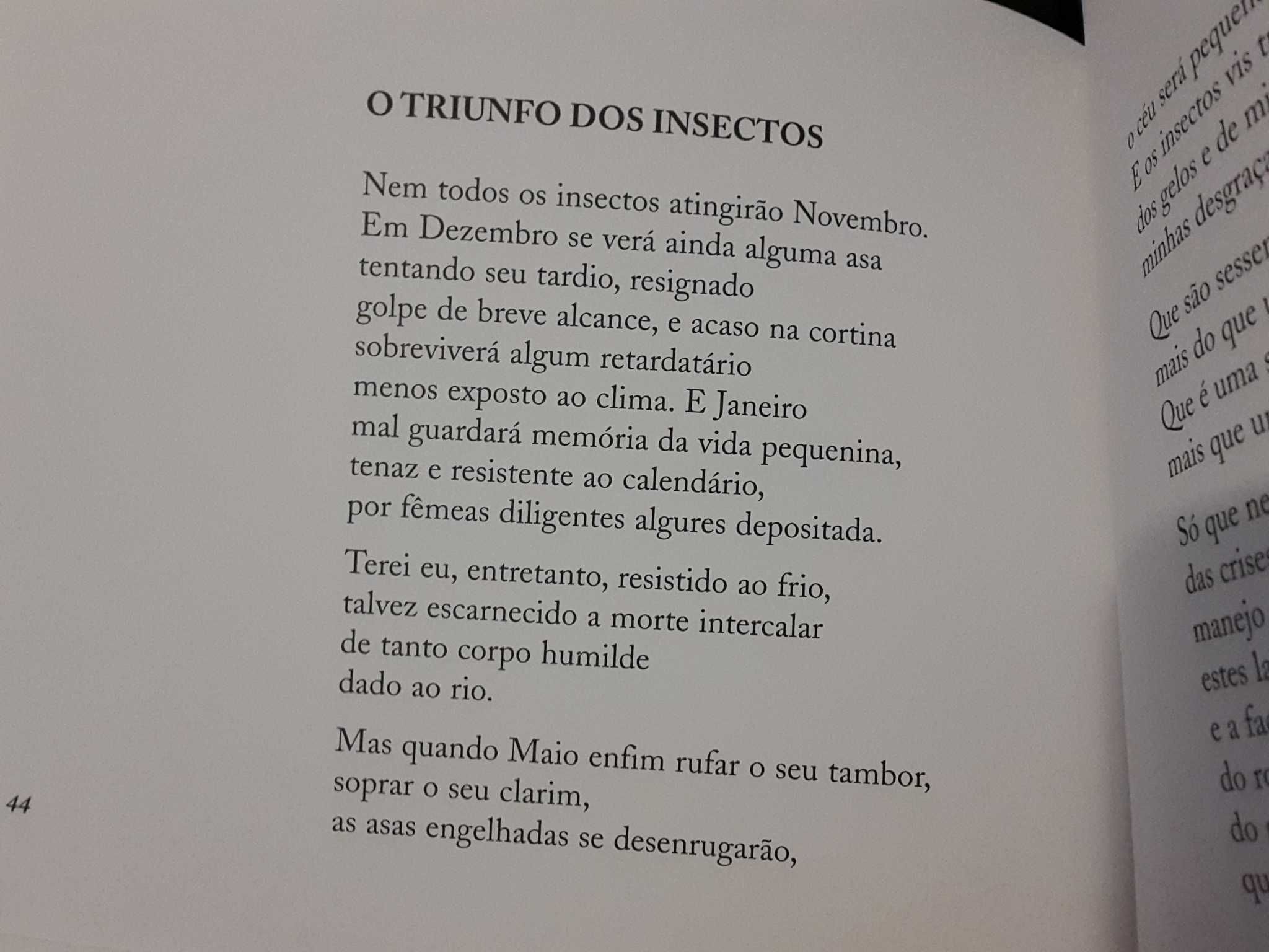 A. M. Pires Cabral - O Livro dos Lugares e Outros Poemas (1.ª edição)