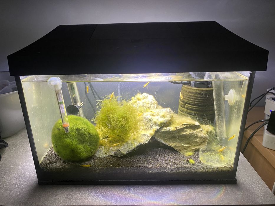 Krewetkarium/akwarium z życiem i wyposażeniem aquael