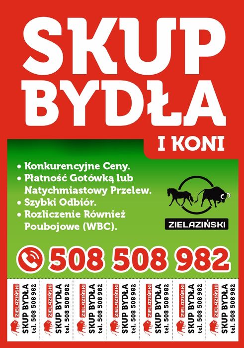 SKUP BYDŁA I KONI ( Gotówka lub Przelew )