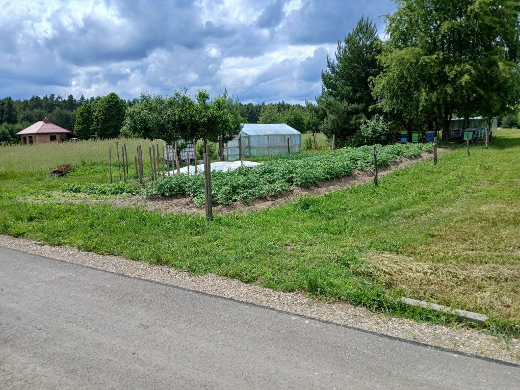 Działka budowlana w spokojnej okolicy