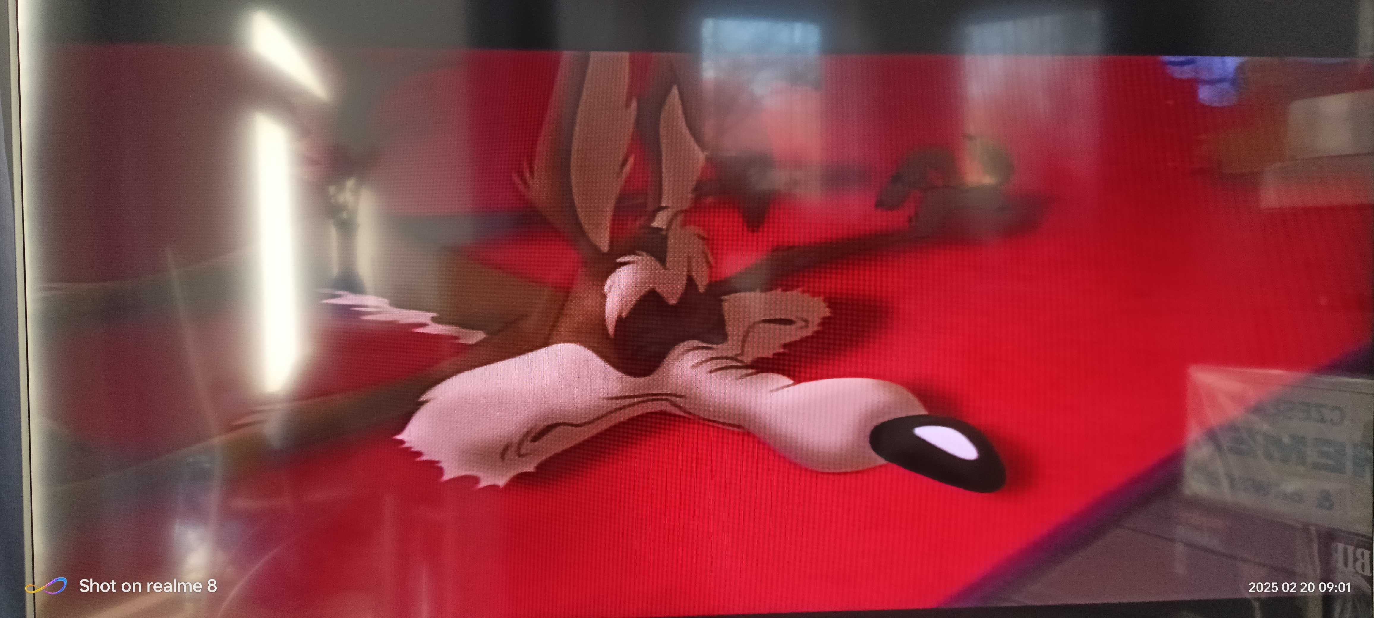 Laserdisc -Space Jam- NTSC