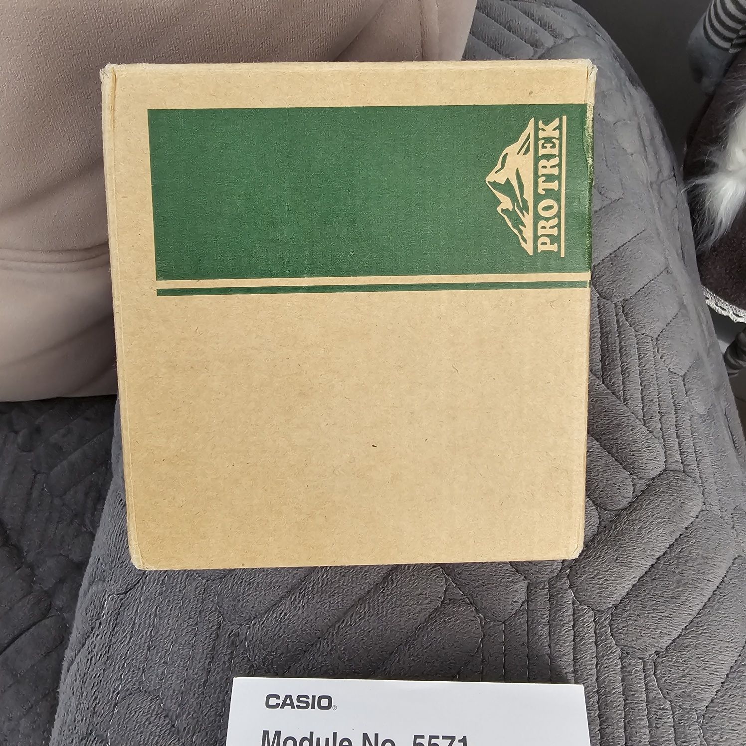 Продам casio prw6600
