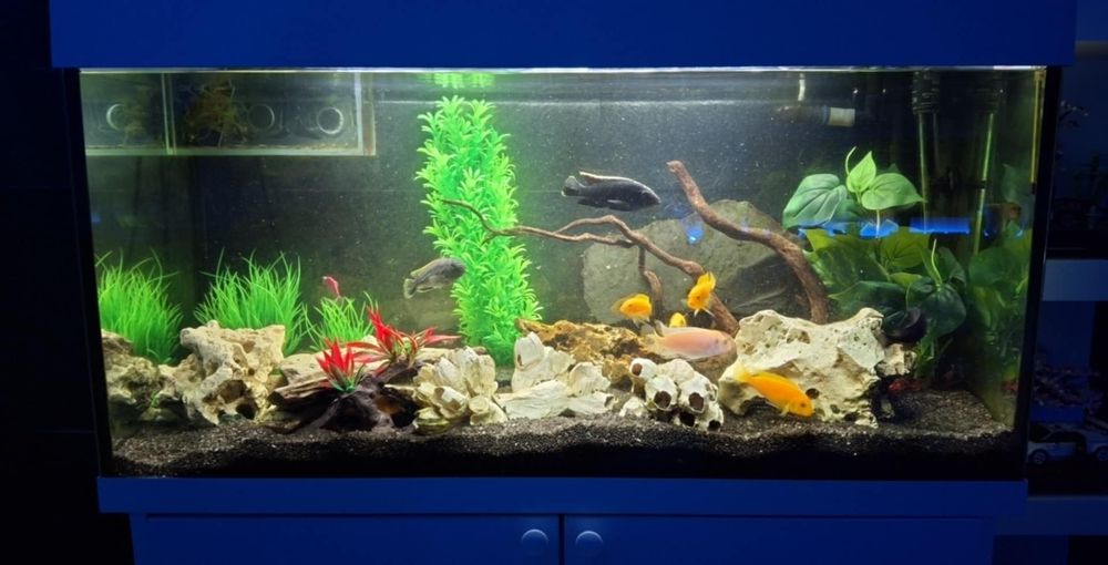 akwarium z szafką 200L