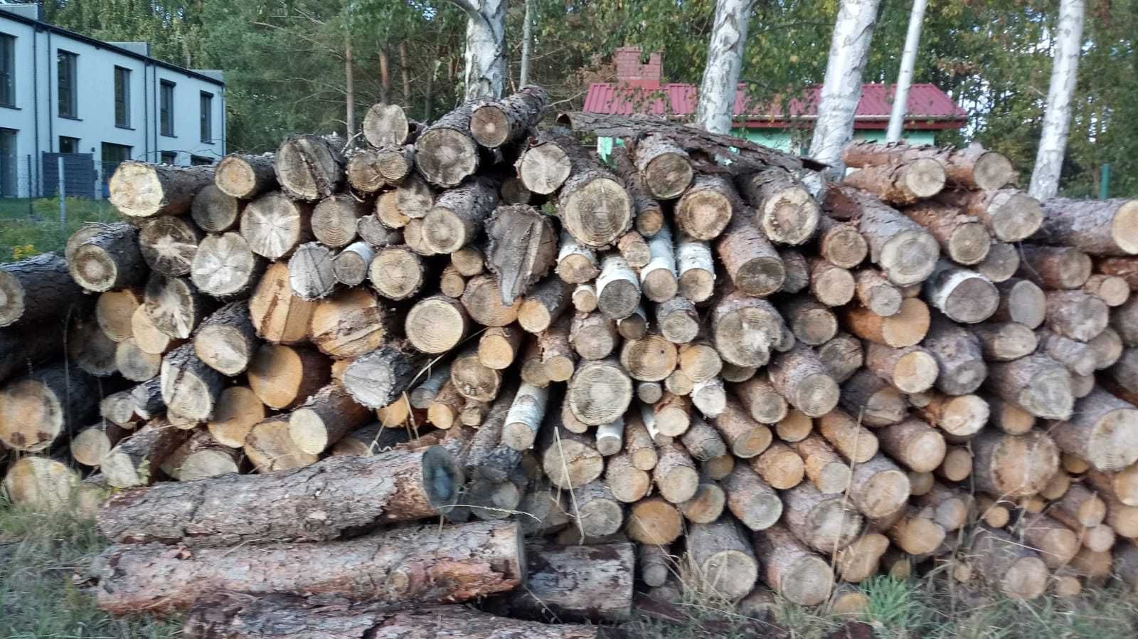 Drewno sosnowe Łazy