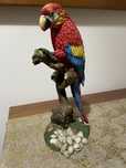 Escultura de papagaio em marfinite