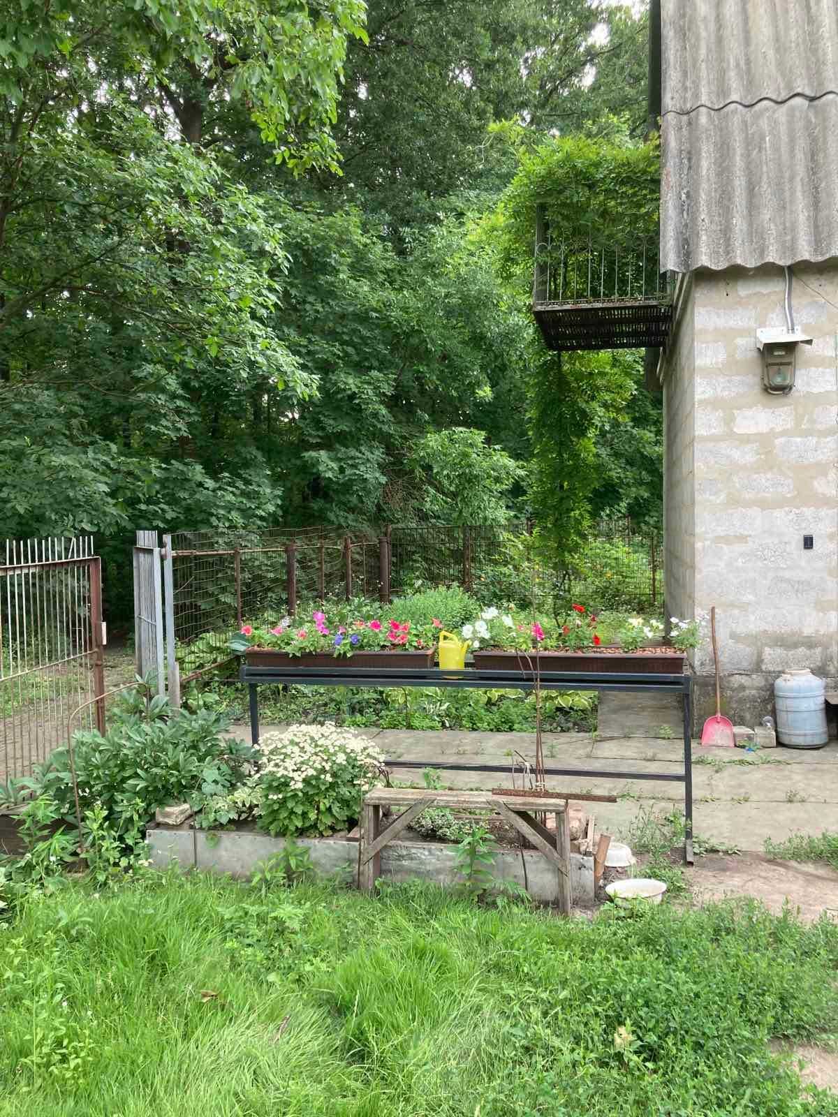 Продам четыре смежных дачных участка с домом