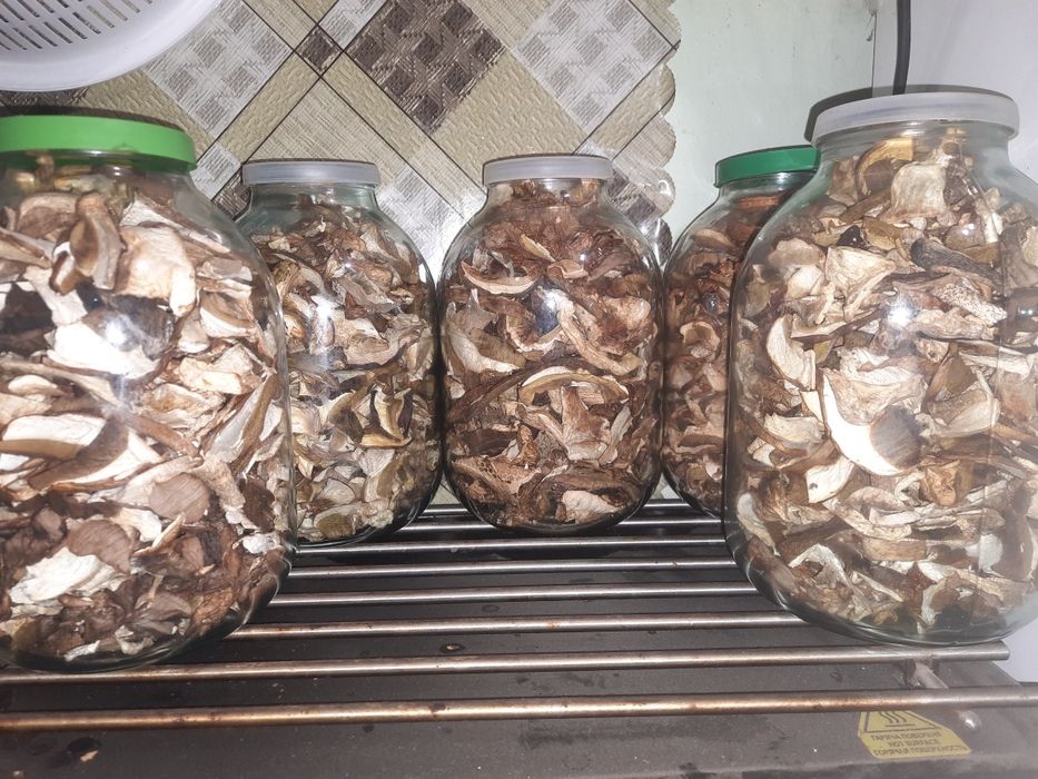 Білі сушені гриби