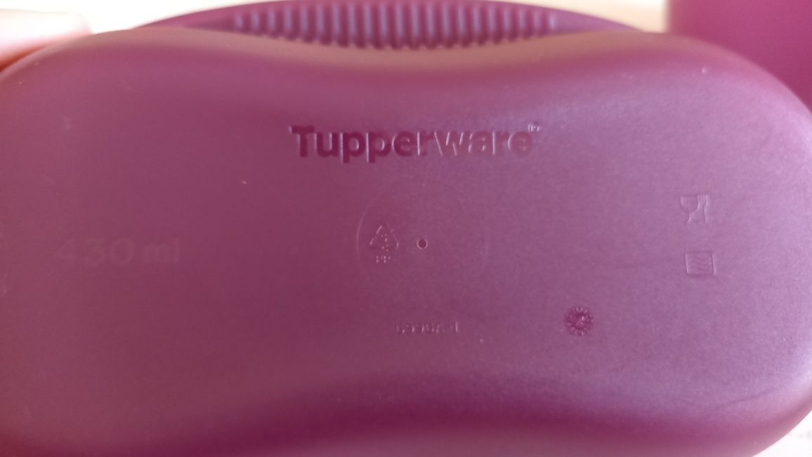 Microdelicia Tupperware