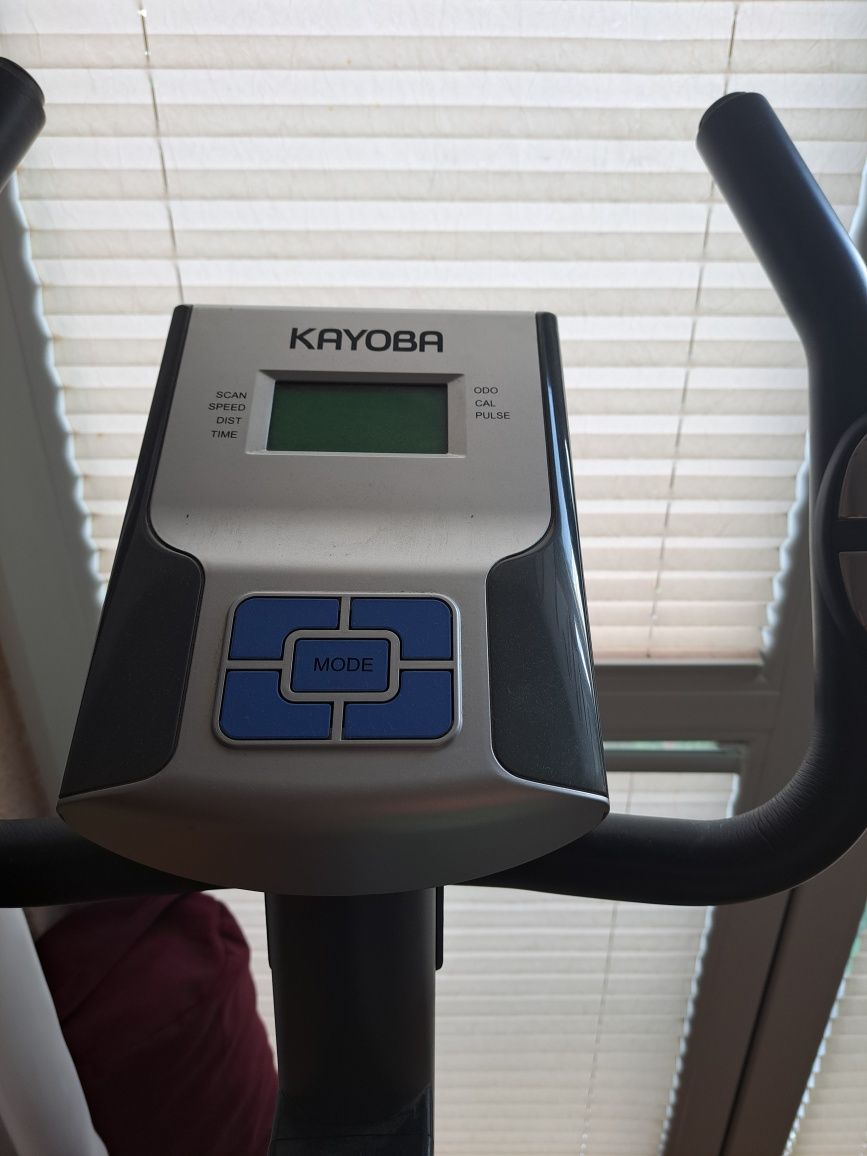 Hayoba rower stacjonarny