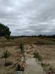 Alugo terreno 4000m2 Marinhais