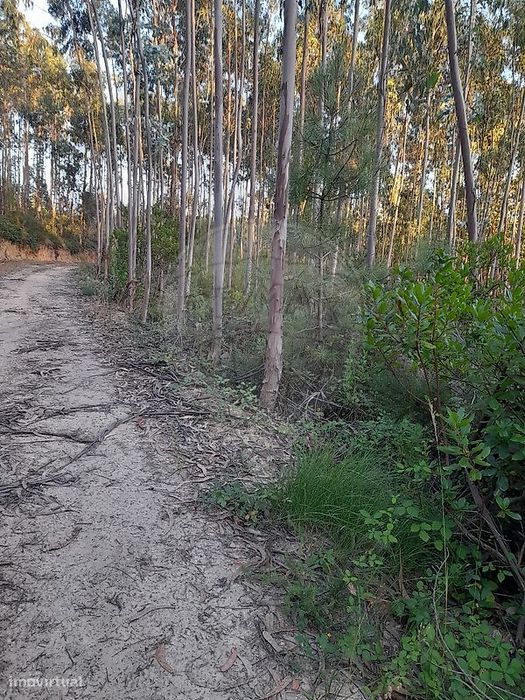 Terreno  para venda