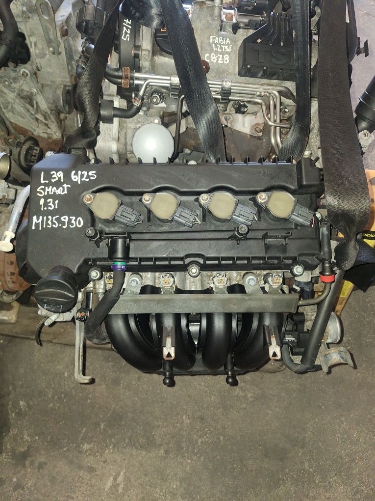 Motor smart fourfor 1.3i (M135.930)