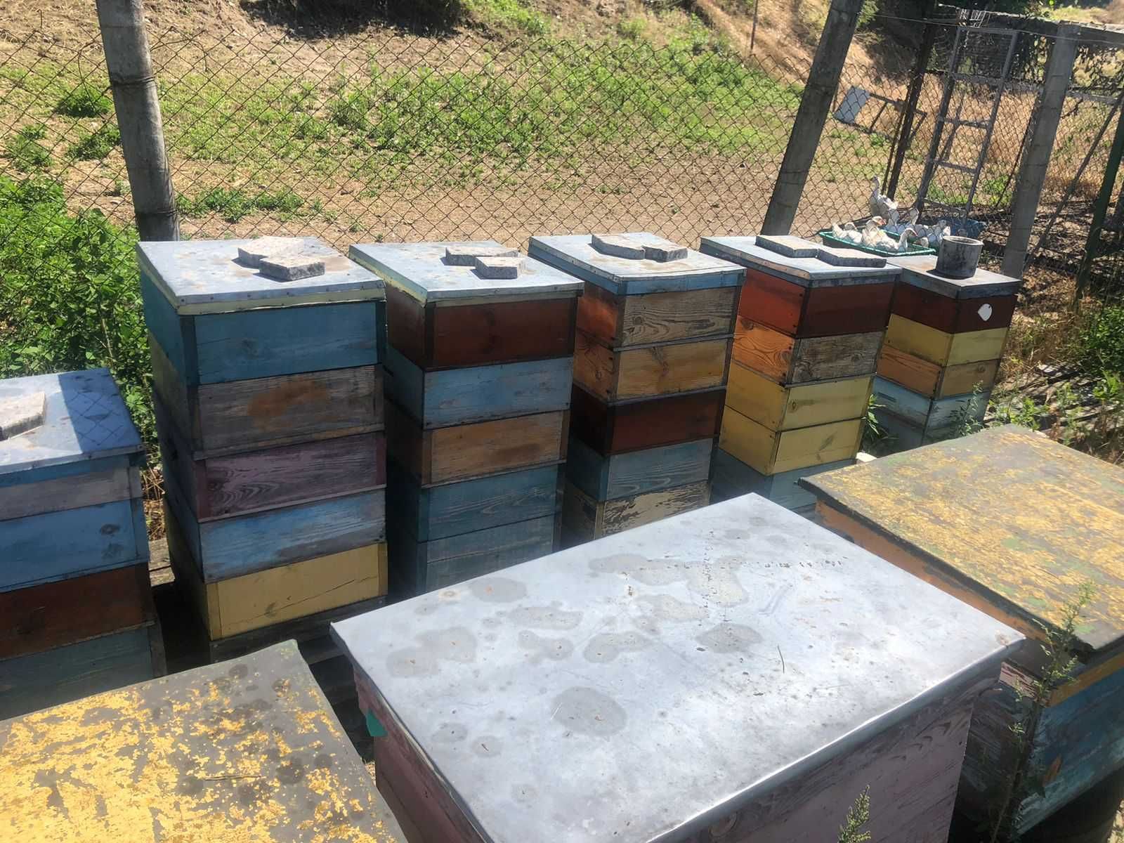 Продаж вуликів для бджіл