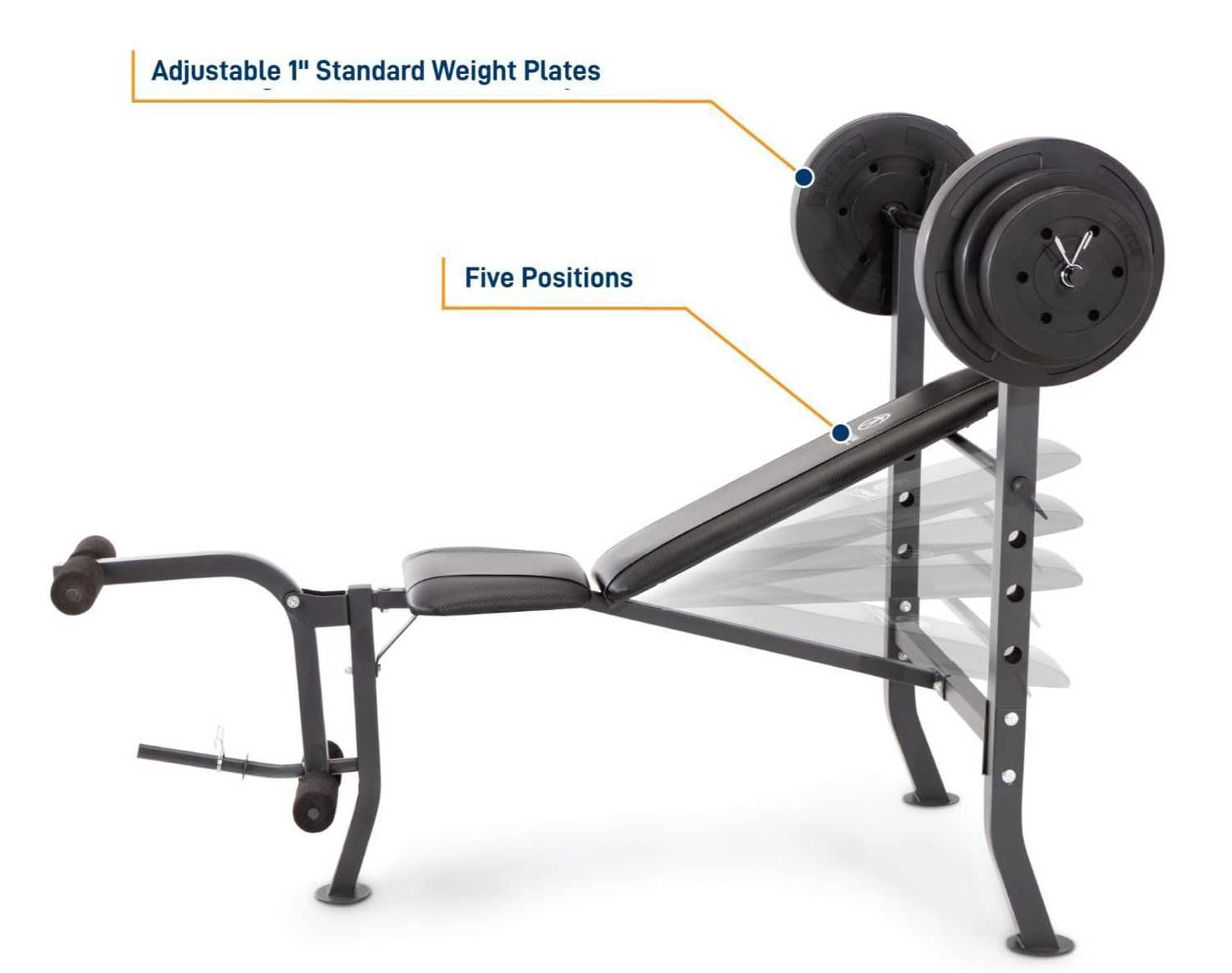 Banco Multifuncional de Musculação / Dumbbells + Pesos– Treine em Casa