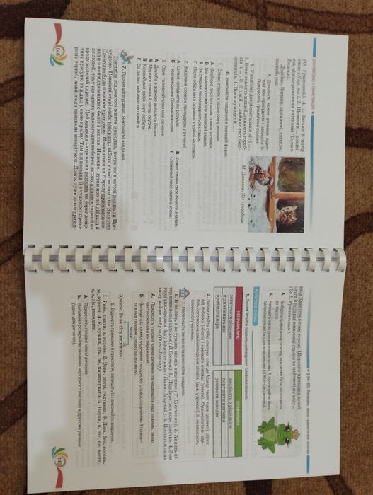 Авраменко. Українська мова. 5 клас, НУШ. Формат А4