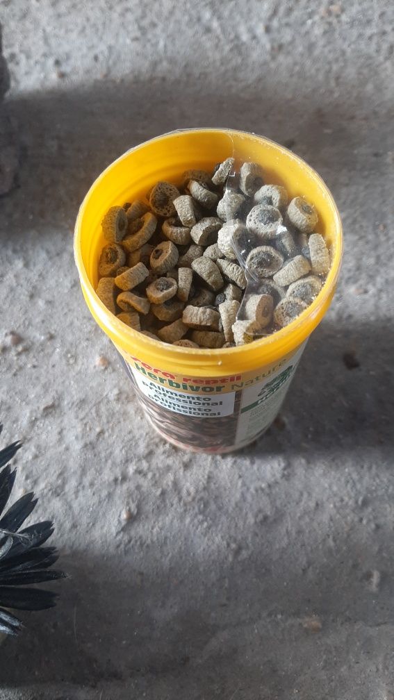 Acessórios aquário