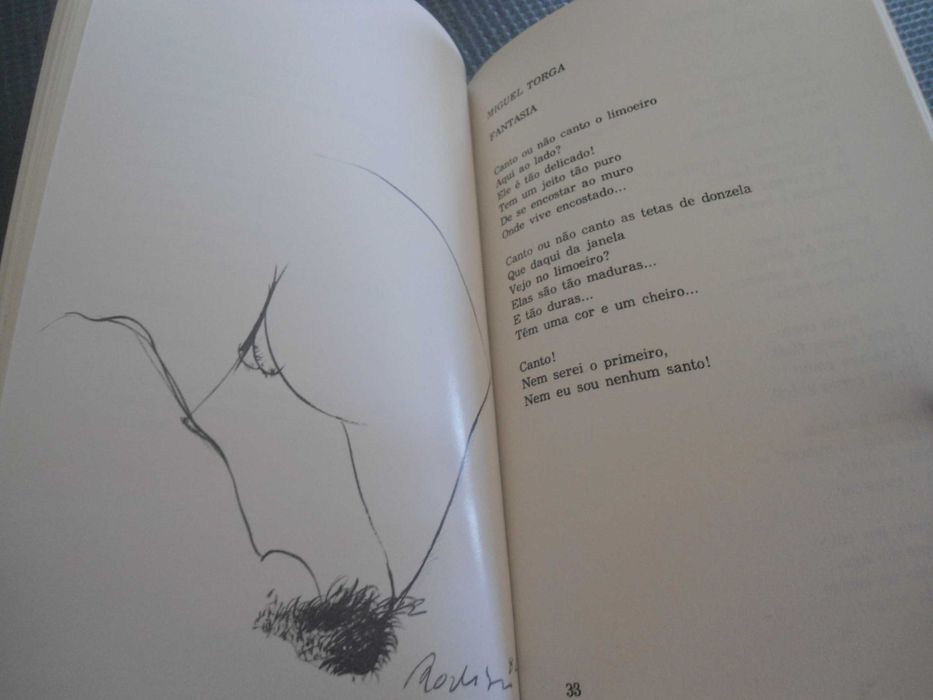 Eros de passagem-Poesia Erótica Contemporânea (1982)