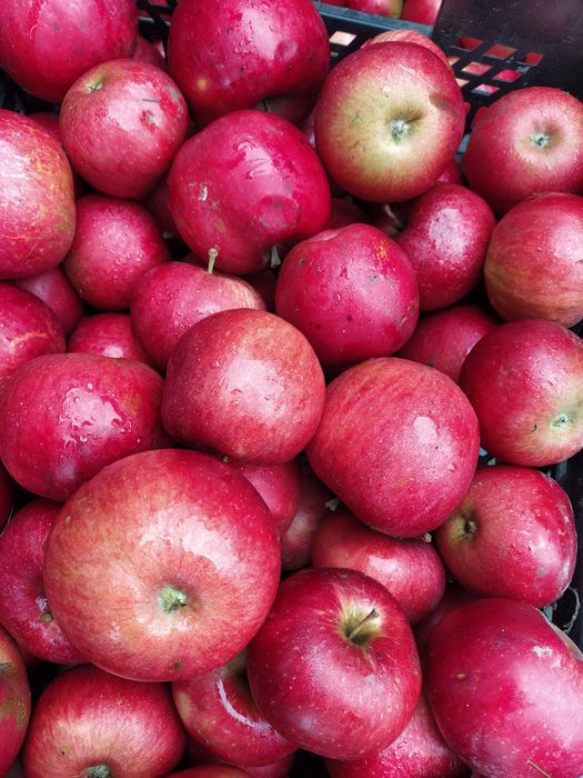 Jabłka z własnego sadu