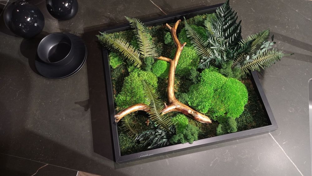 Obraz z mchem ozdoba do firm biur rośliny biurowe mech stabilizowany