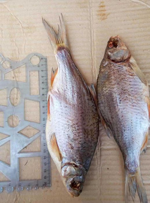рыба вяленая, копченая