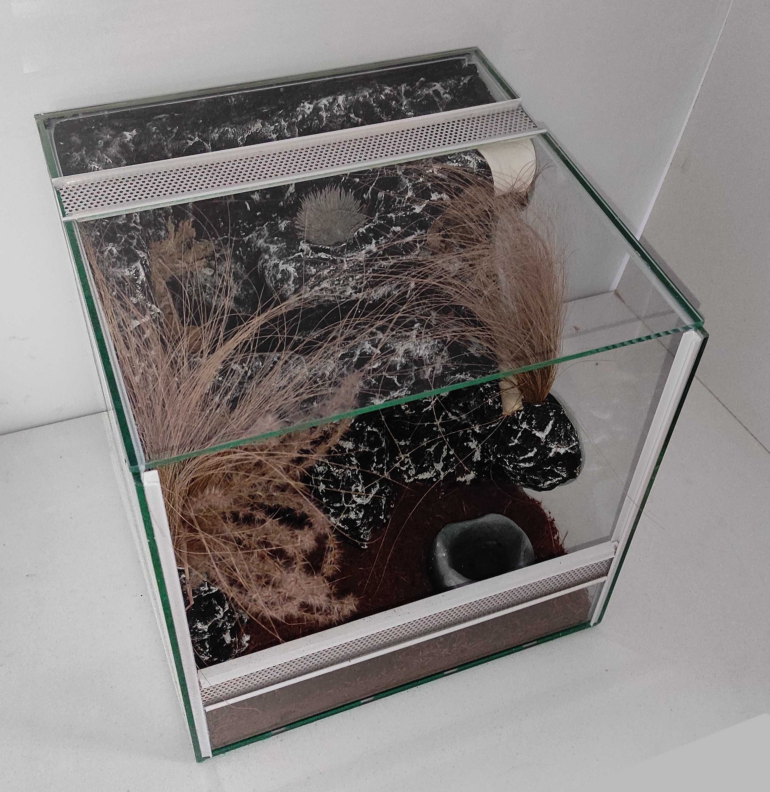 Terrarium dla ptasznika, TW49ST, AquaWaves