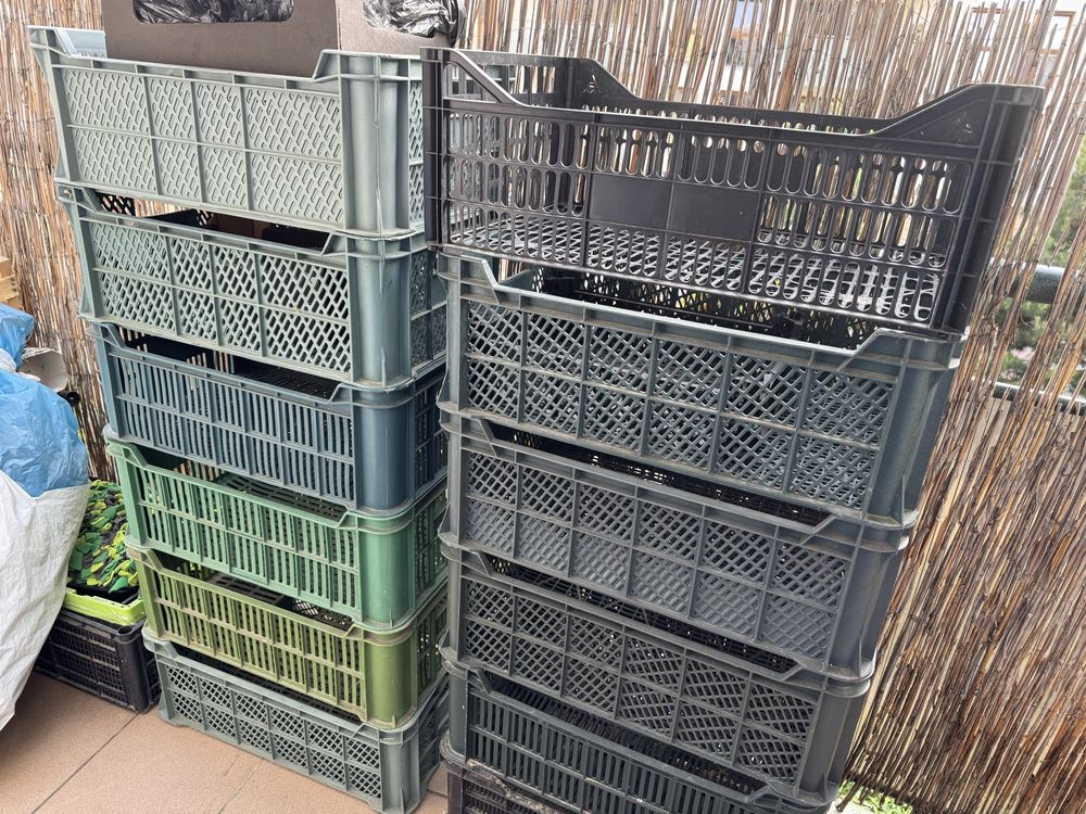 Skrzynki plastikowe na czereśnie 15kg