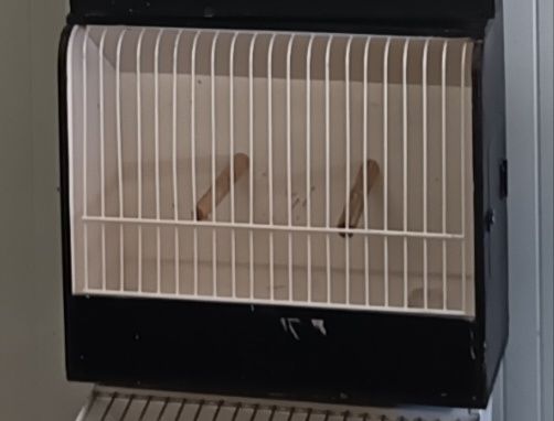 5 Gaiolas de exposição