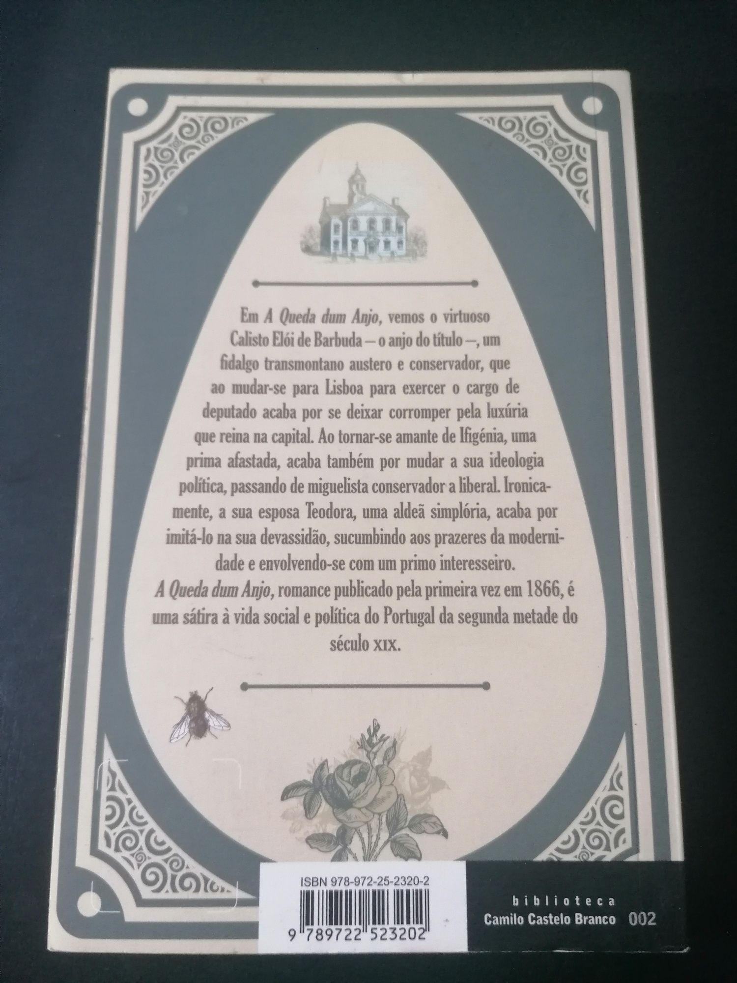 A Queda Dum Anjo de Camilo Castelo Branco