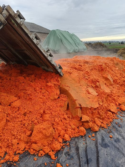 Wytłoki pulpa z marchwi