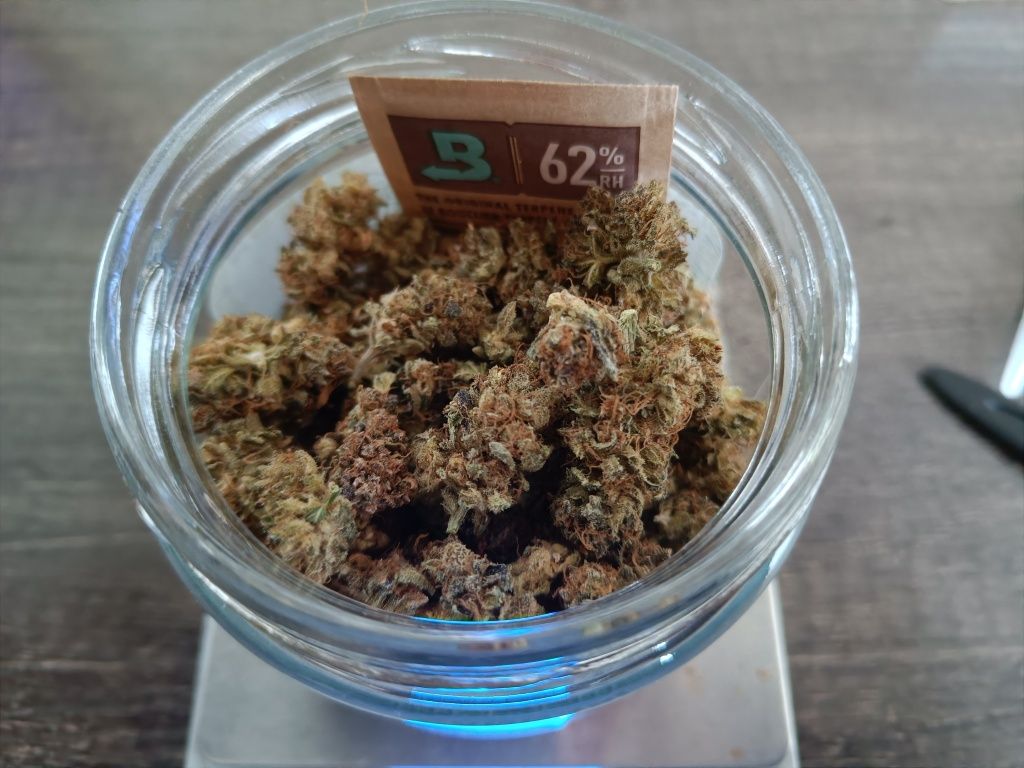 10 gramów suszu Victory CBD-V i CBD / 7-10%+7-10% indoor