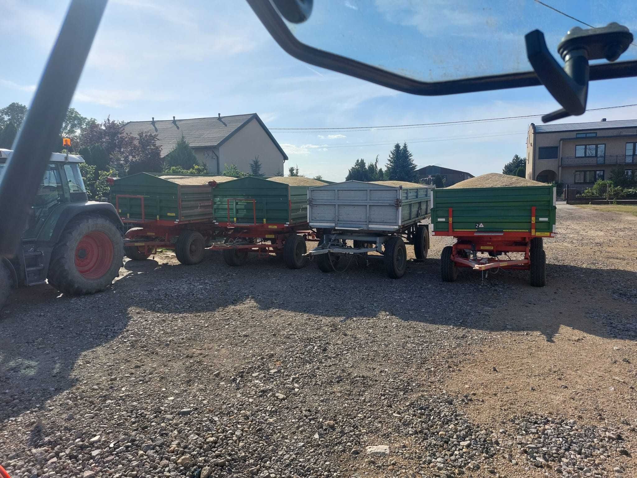 sprzedam owies ozimy żółty i czarny
