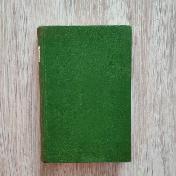 Pożary i zgliszcza - Maria Rodziewiczówna