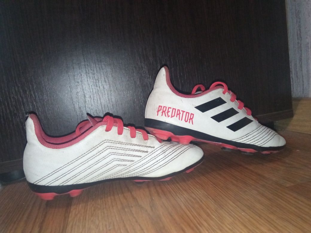 Копочки Adidas Predator