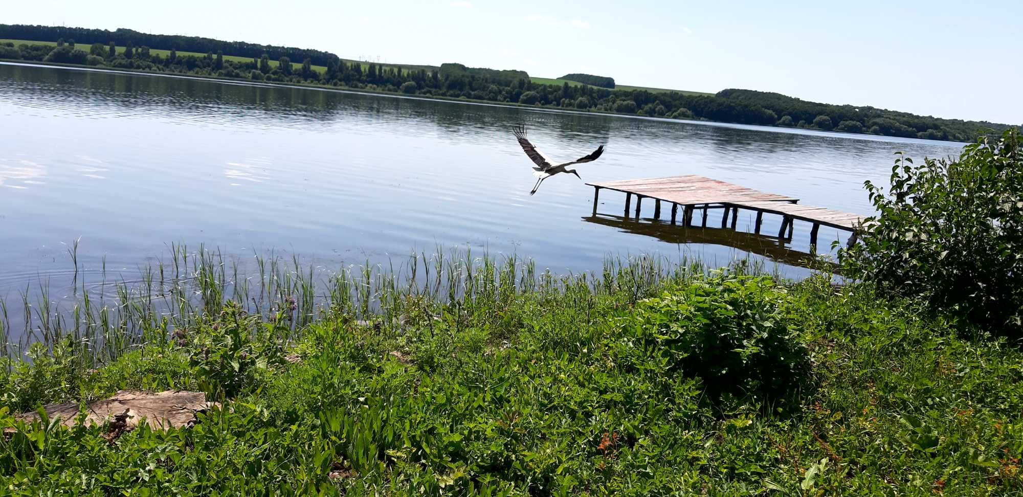 нерухомість у Степашках на березі Бугу