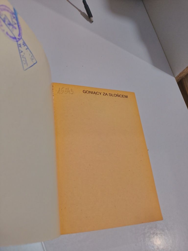 Julia Nidecka Goniący za słońcem