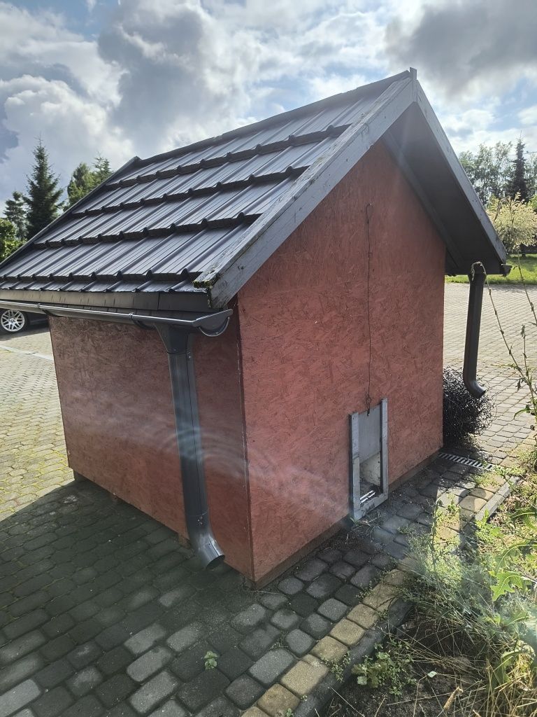 Kurnik masywny w dobrym stanie