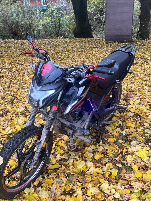 Musstang Fortune 200