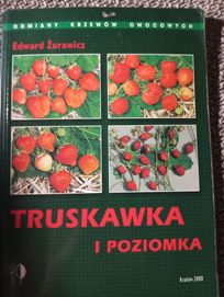 Truskawka i poziomka