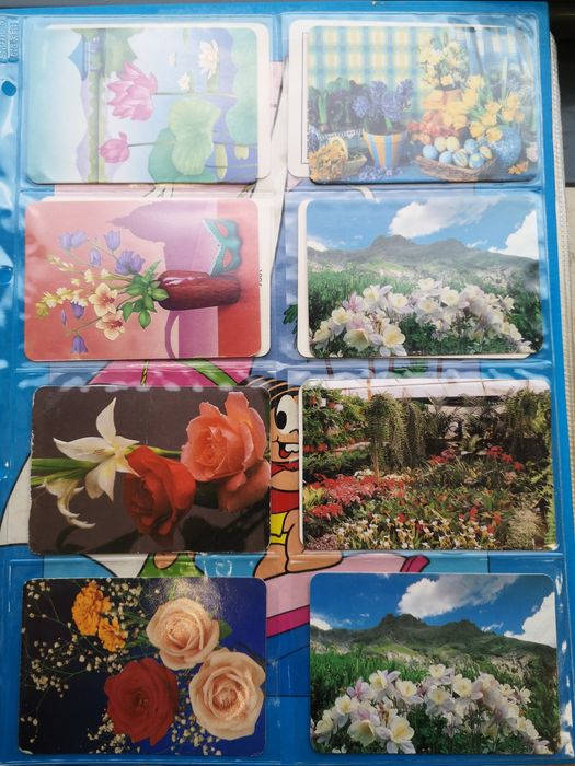 Calendário de Bolso - Flores e Plantas;