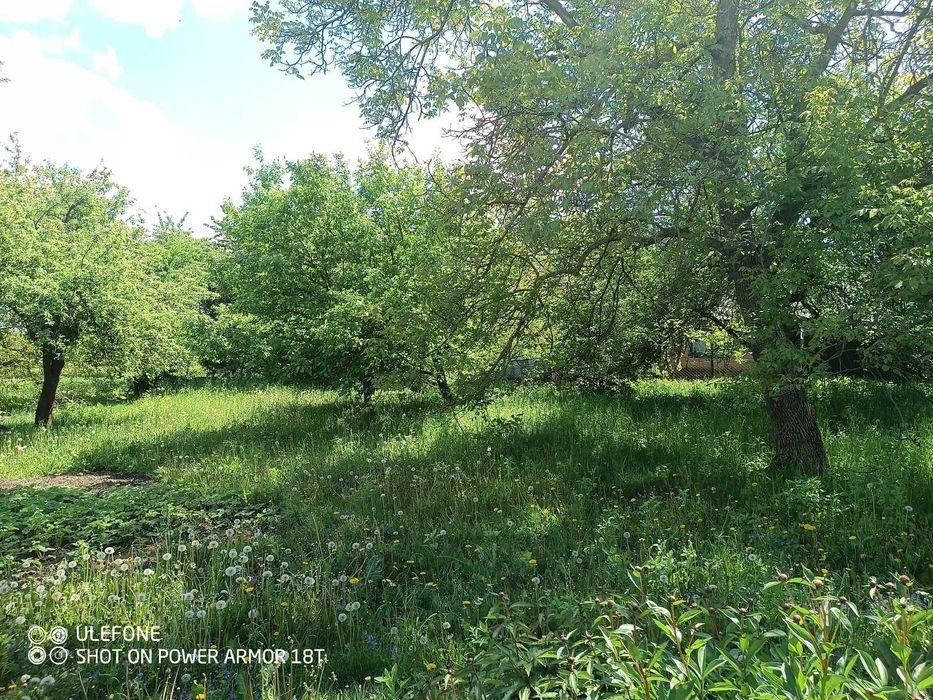 Продаж будинку в Малинівці