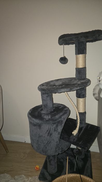 Brinquedo para gato