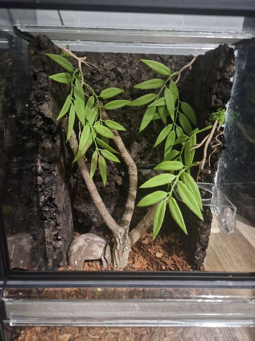Terrarium szklane 30x30x40 cm