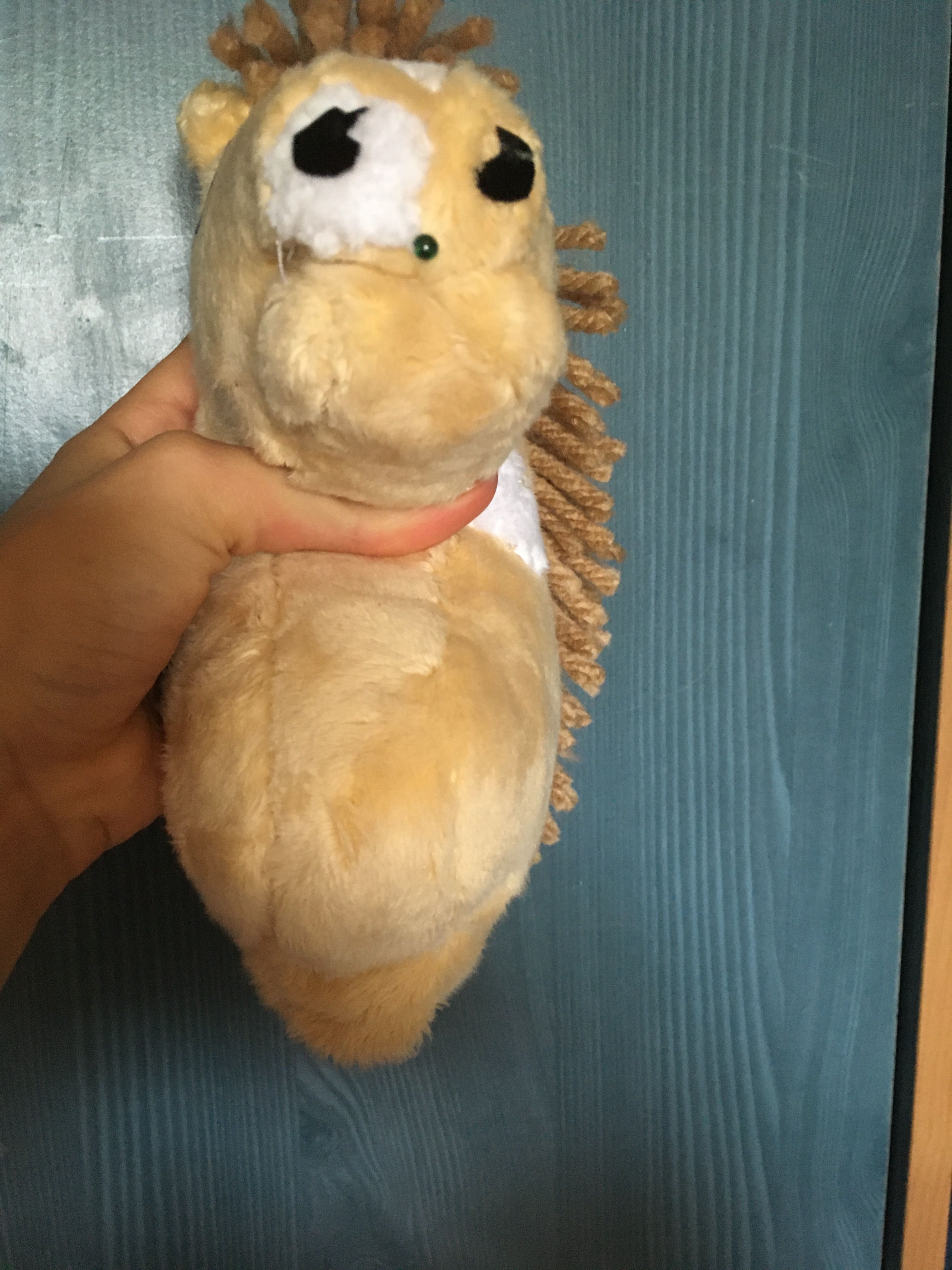 Hobby horse a5 ..