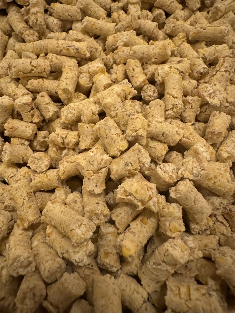 Kukurydza pellet 6mm zanęta karp lin amur płoć  leszcz jezioro leszcz