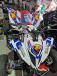 Raptor 700r 2010